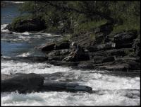 Bifogad bild: norge2010augusti131.jpg